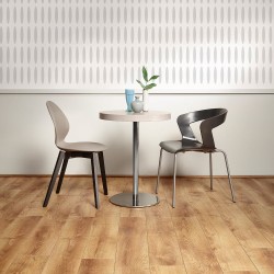 Avoca Oak - Forester