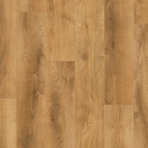 Avoca Oak - Forester